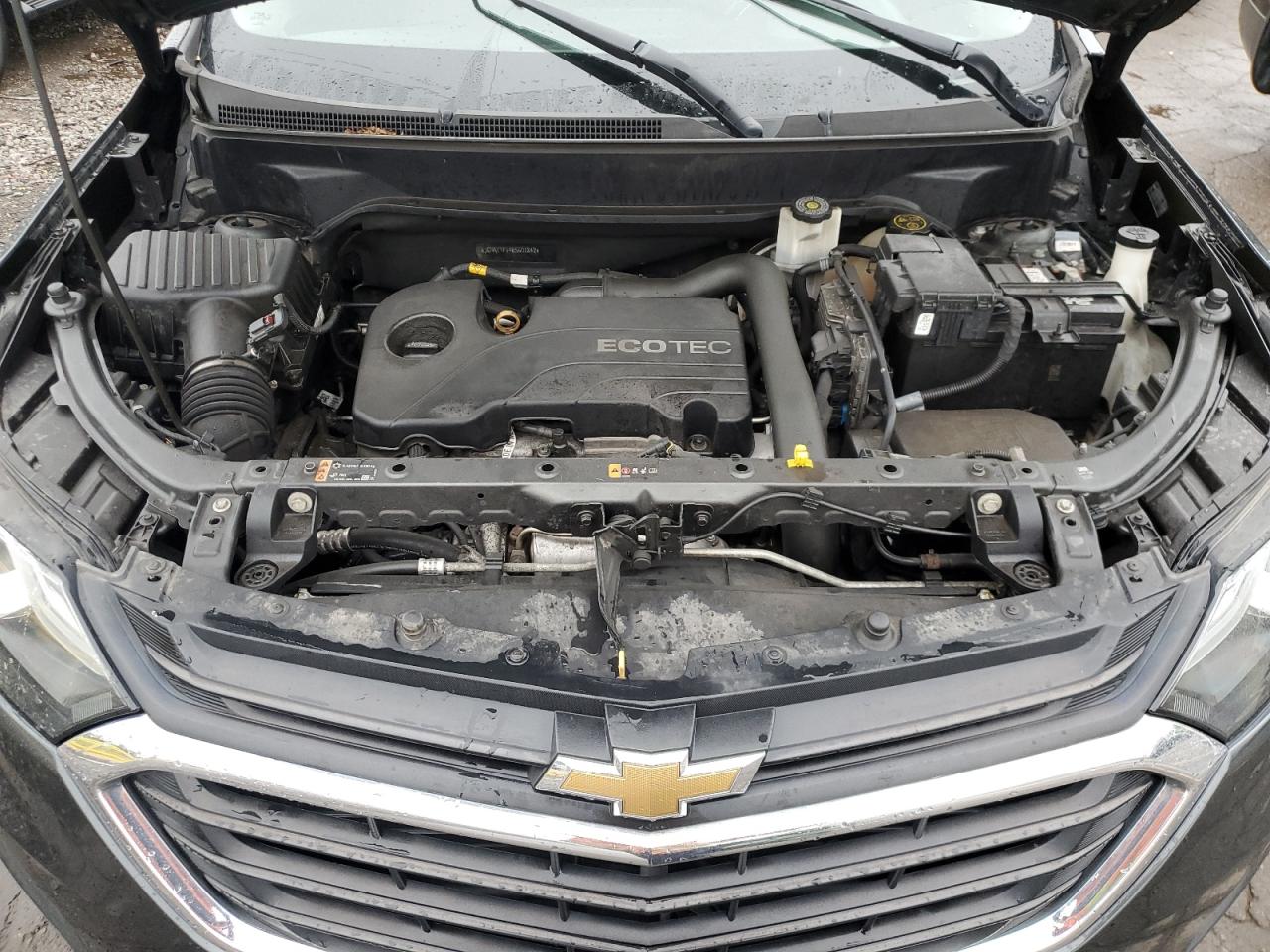 3GNAXTEV4KS601842 CHEVROLET EQUINOX 2019
