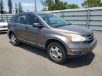 2010 Honda Cr-V Lx for Sale in Miami, FL - Side