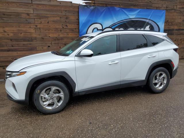  HYUNDAI TUCSON 2024 Biały