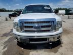 2013 Ford F150 Supercrew   for Sale in Louisville, KY - Front End
