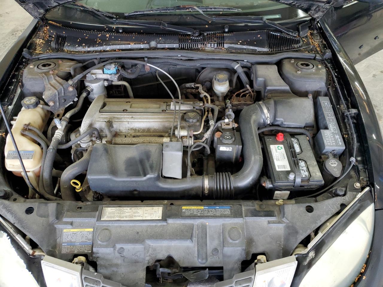 2004 Pontiac Sunfire VIN: 1G2JB12F147295892 Lot: 56635135
