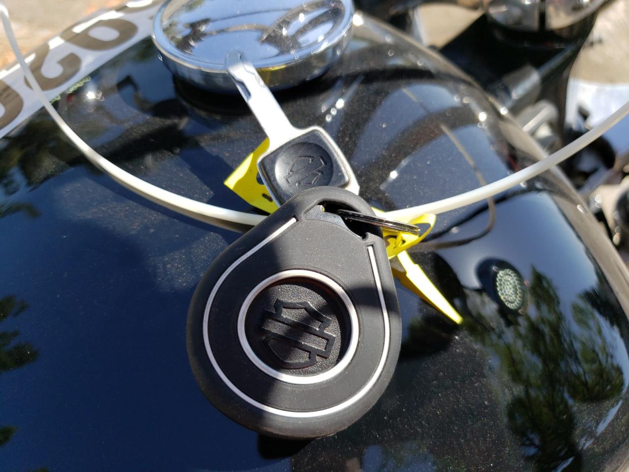 2021 Harley-Davidson Fxst VIN: 1HD1BVJ22MB025129 Lot: 59204935