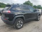 2019 Jeep Cherokee Trailhawk იყიდება Prairie Grove-ში, AR - Hail