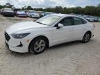 2020 Hyundai Sonata Se на продаже в Fort Pierce, FL - Water/Flood