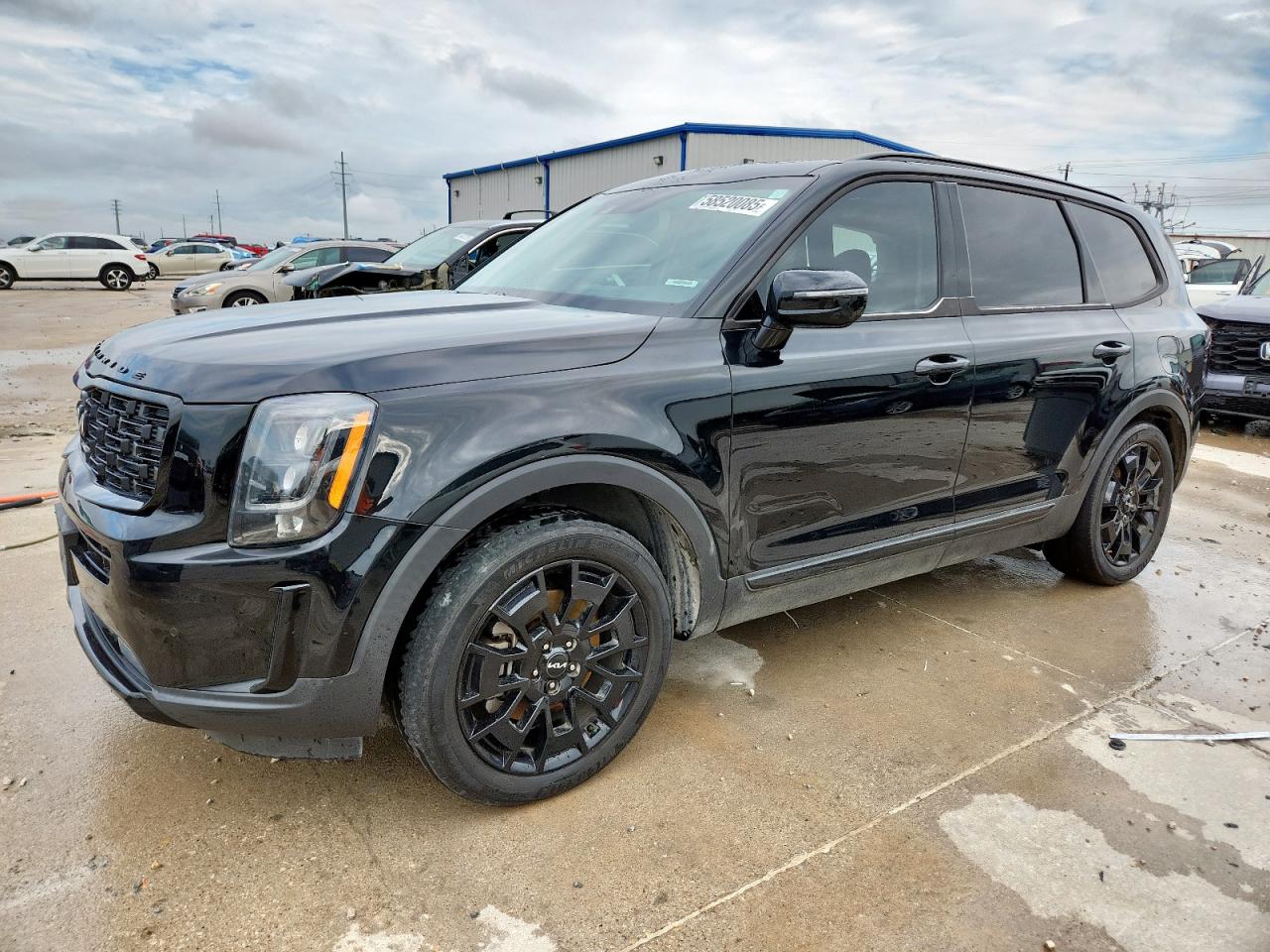 2022 Kia Telluride Sx VIN: 5XYP5DHC0NG293700 Lot: 58520085