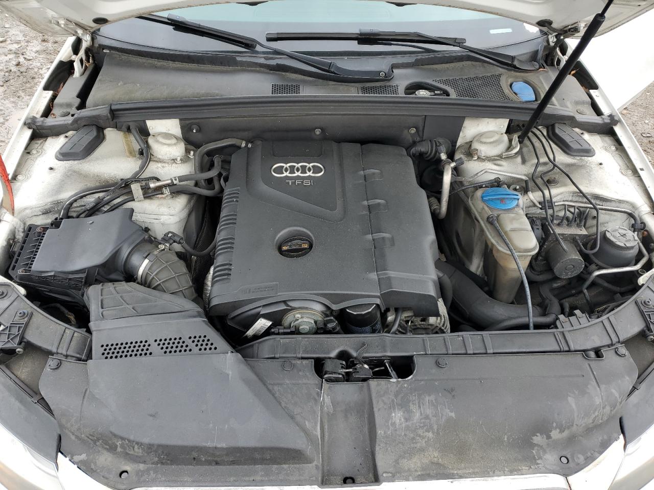 2010 Audi A4 Premium VIN: WAUBFAFL5AN064065 Lot: 57350375