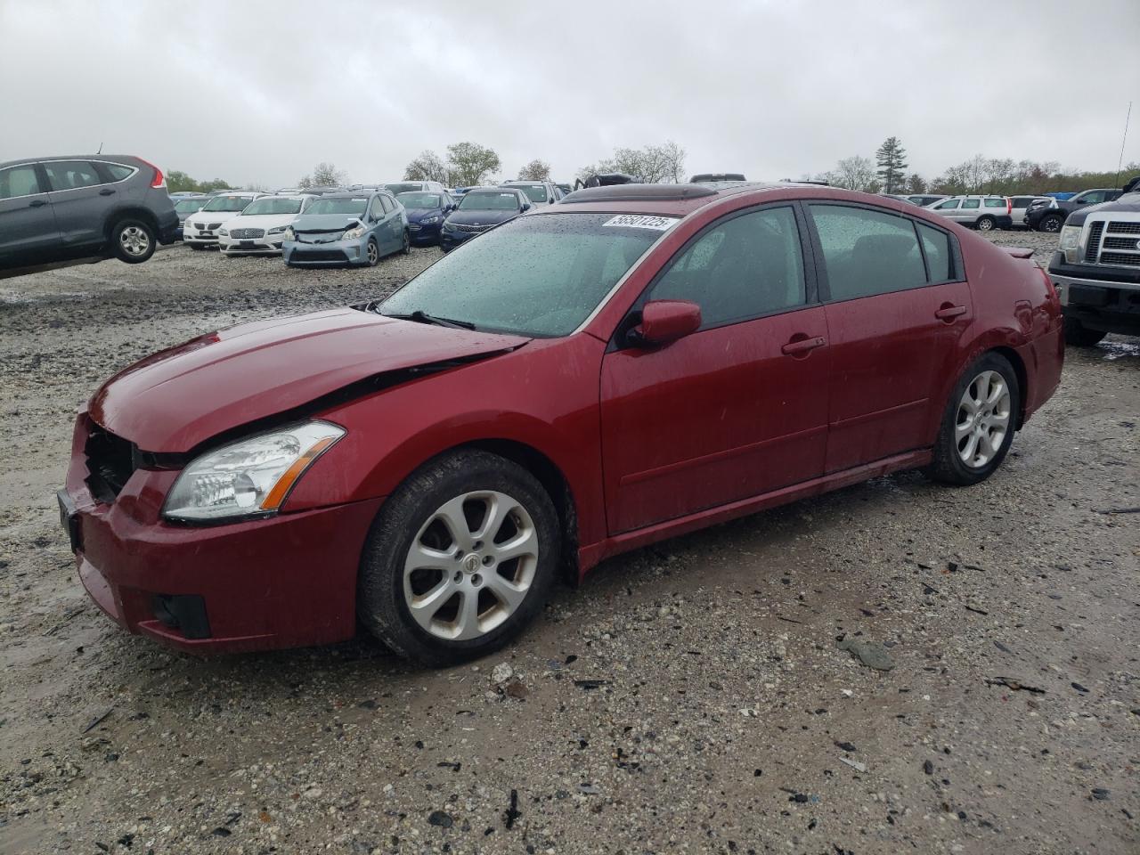 2008 Nissan Maxima Se for Sale in West Warren, MA - Front End