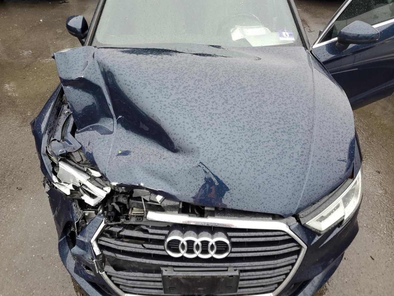 2017 Audi A3 Premium Plus VIN: WAUJ8GFF1H1067209 Lot: 56698775