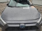 2024 Toyota Rav4 Xle Premium للبيع في Wayland، MI - All Over