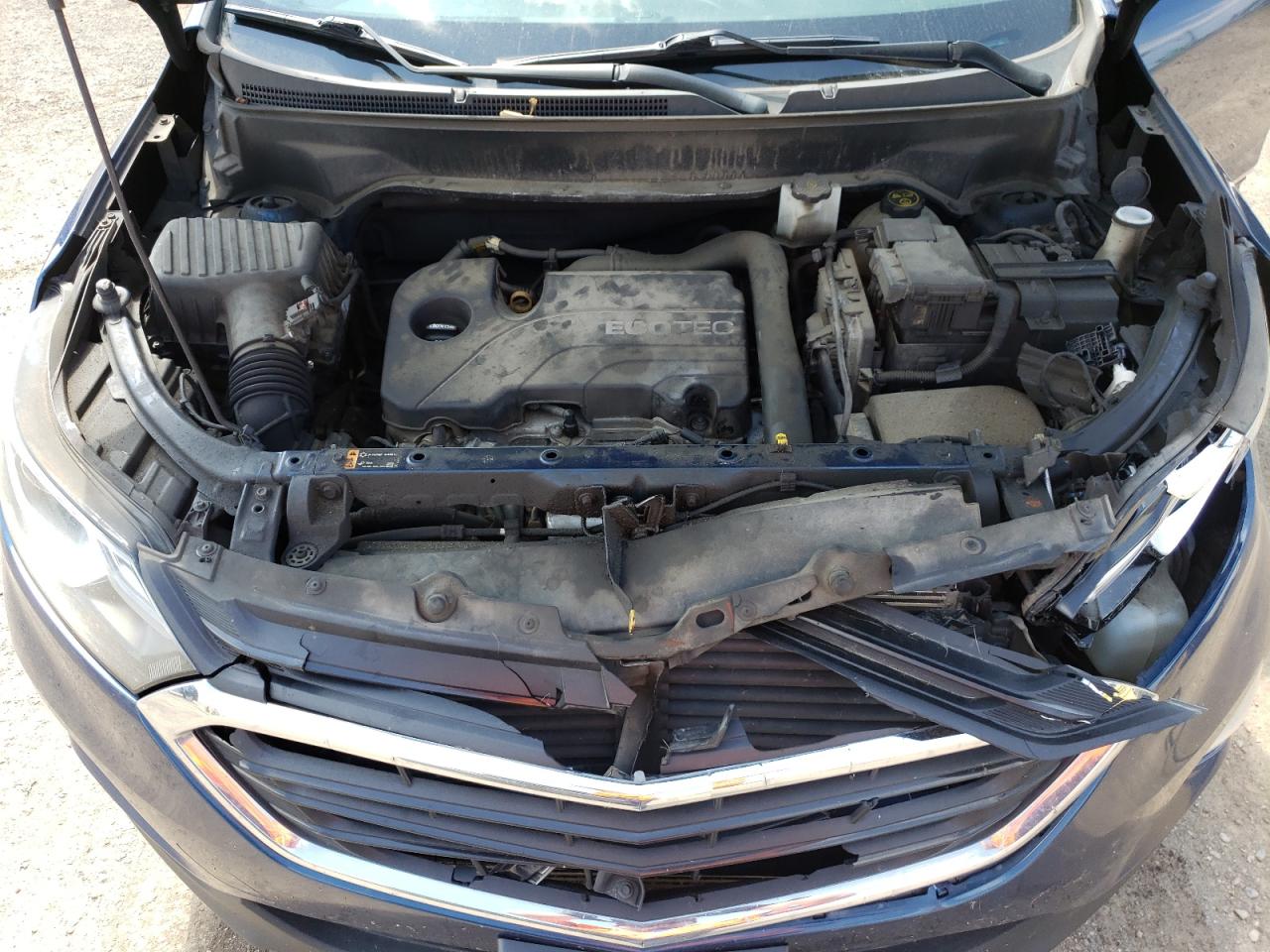 2GNAXUEV0K6136366 CHEVROLET EQUINOX 2019