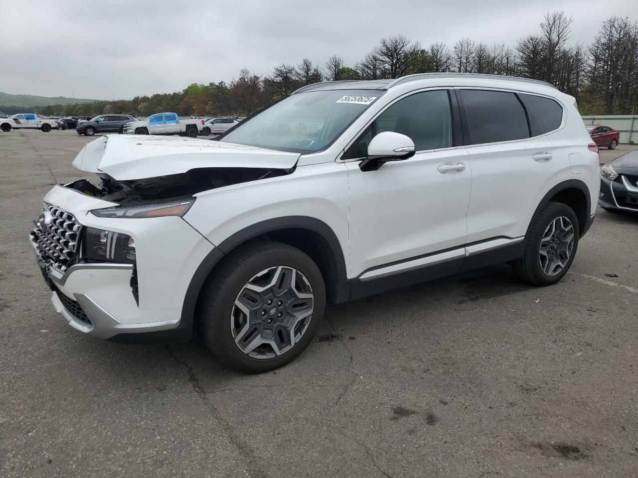 2023 Hyundai Santa Fe Limited na sprzedaż w Brookhaven, NY - Front End
