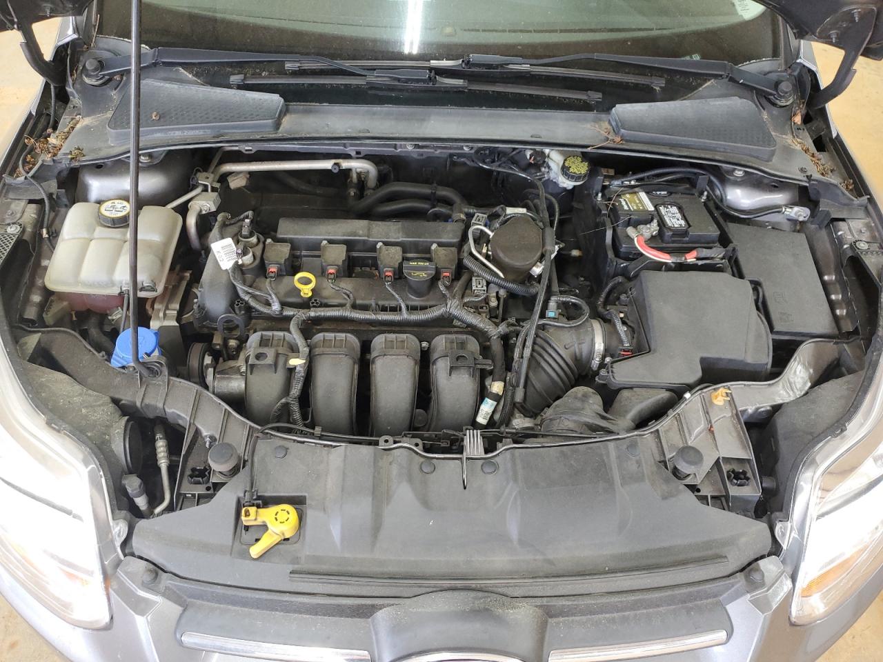 2014 Ford Focus Se VIN: 1FADP3F22EL251332 Lot: 55666005