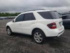 2008 Mercedes-Benz Ml 350 للبيع في Hillsborough، NJ - Side