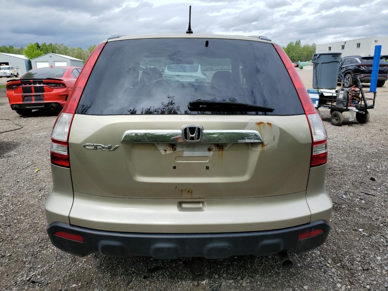 2007 Honda Cr-V Exl VIN: 5J6RE48787L810657 Lot: 54121055