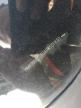 2009 Nissan Murano S продається в Earlington, KY - Front End