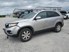 2013 Kia Sorento Lx за продажба в Earlington, KY - Front End