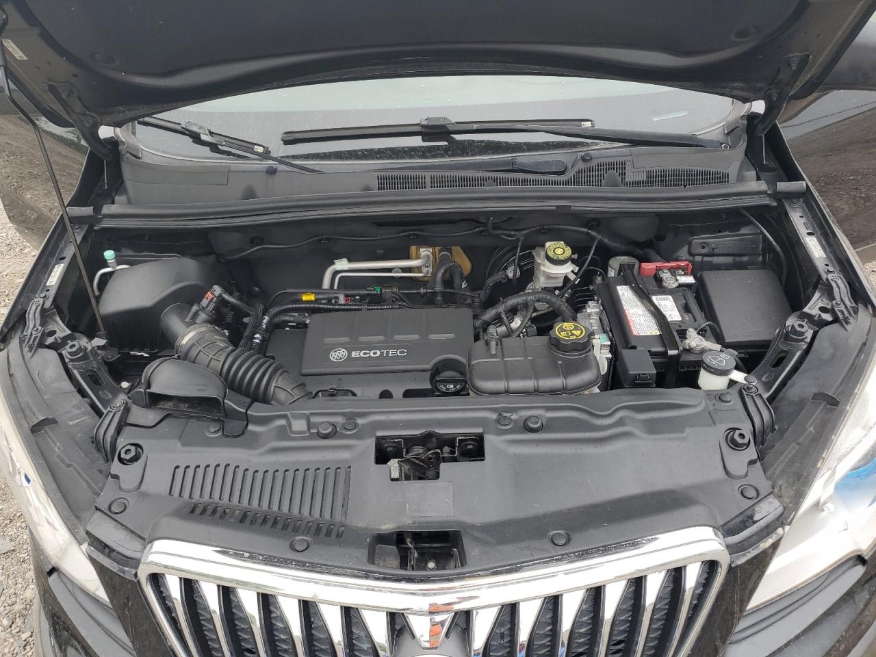 2013 Buick Encore VIN: KL4CJASB0DB184617 Lot: 56688195