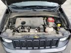 2019 Jeep Renegade Trailhawk for Sale in Littleton, CO - Hail