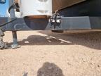 2014 Palomino Puma de vânzare în Andrews, TX - Hail