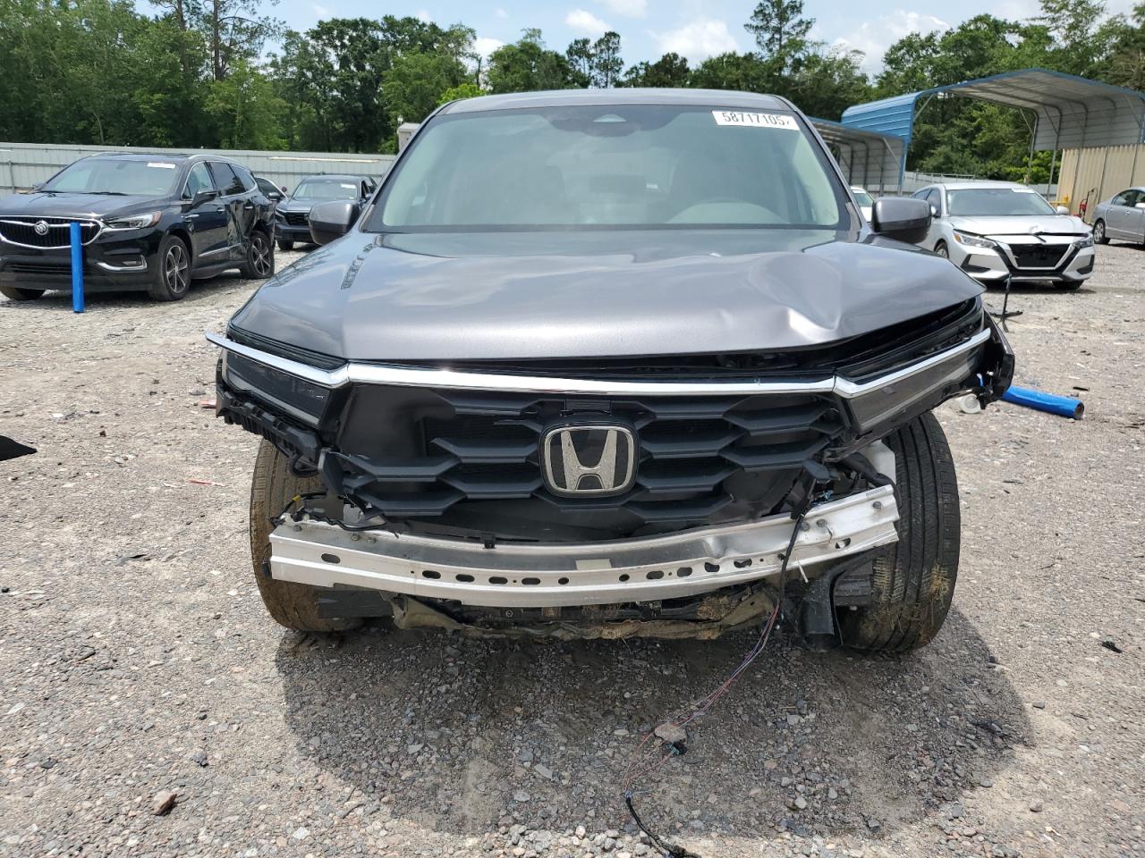 5FNYG1H4XPB054414 HONDA PILOT 2023