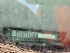 1997 Gmc Sierra C1500 for Sale in Midway, FL - Side