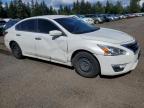 2013 Nissan Altima 2.5 na sprzedaż w Arlington, WA - Side