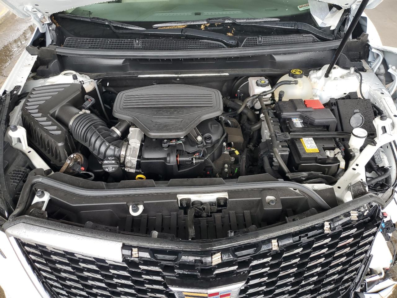 2021 Cadillac Xt5 Premium Luxury VIN: 1GYKNDRS1MZ191350 Lot: 56692835