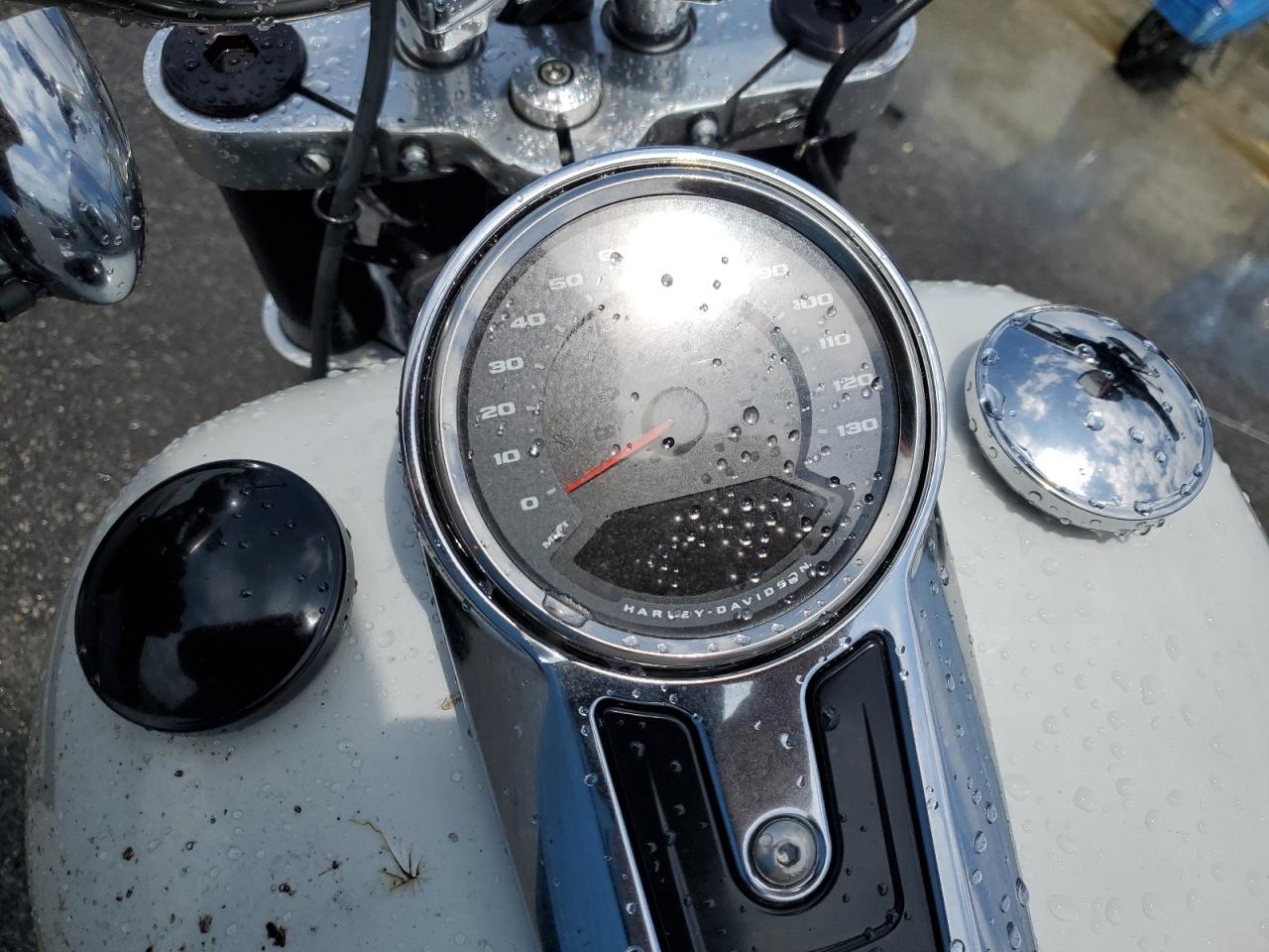 2021 Harley-Davidson Flsb VIN: 1HD1YMJ1XMB029073 Lot: 59019945