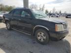 2003 Cadillac Escalade Ext იყიდება Wayland-ში, MI - All Over