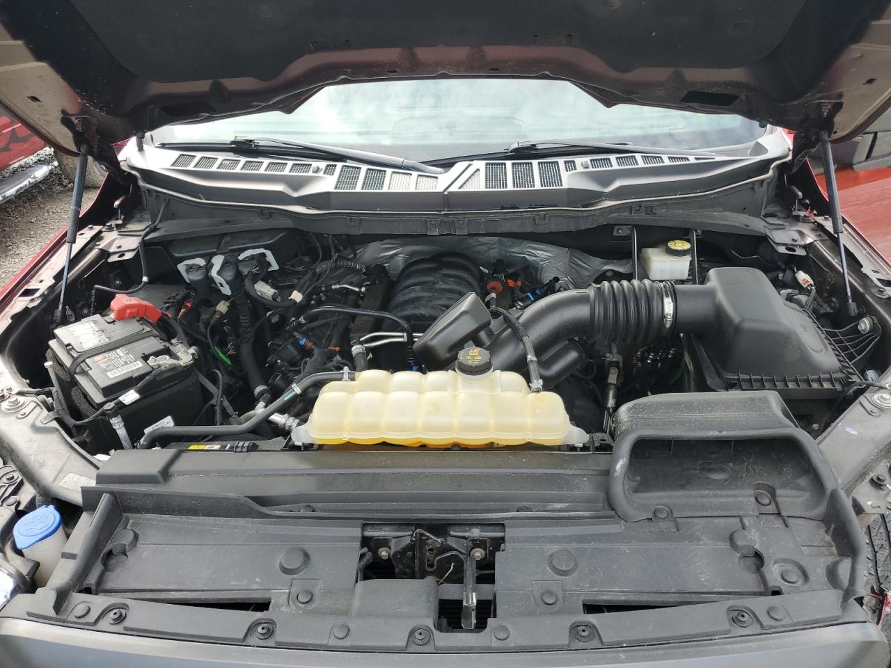 1FTFW1E55MKE03047 FORD F-150 2021