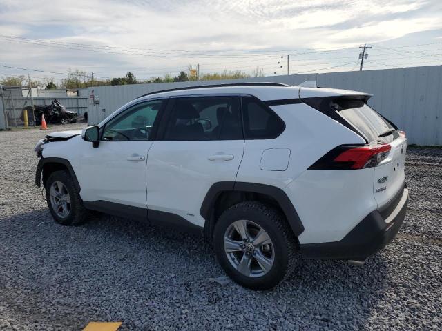  TOYOTA RAV4 2024 Белы