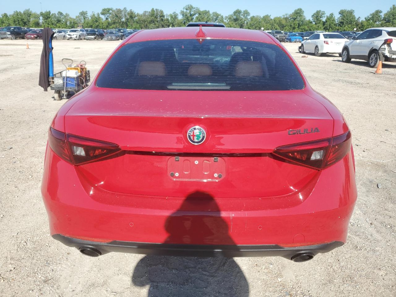 2019 Alfa Romeo Giulia VIN: ZARFAMAN6K7600336 Lot: 56240815