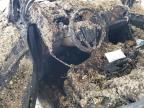 2020 Ford Edge Titanium de vânzare în Rogersville, MO - Burn