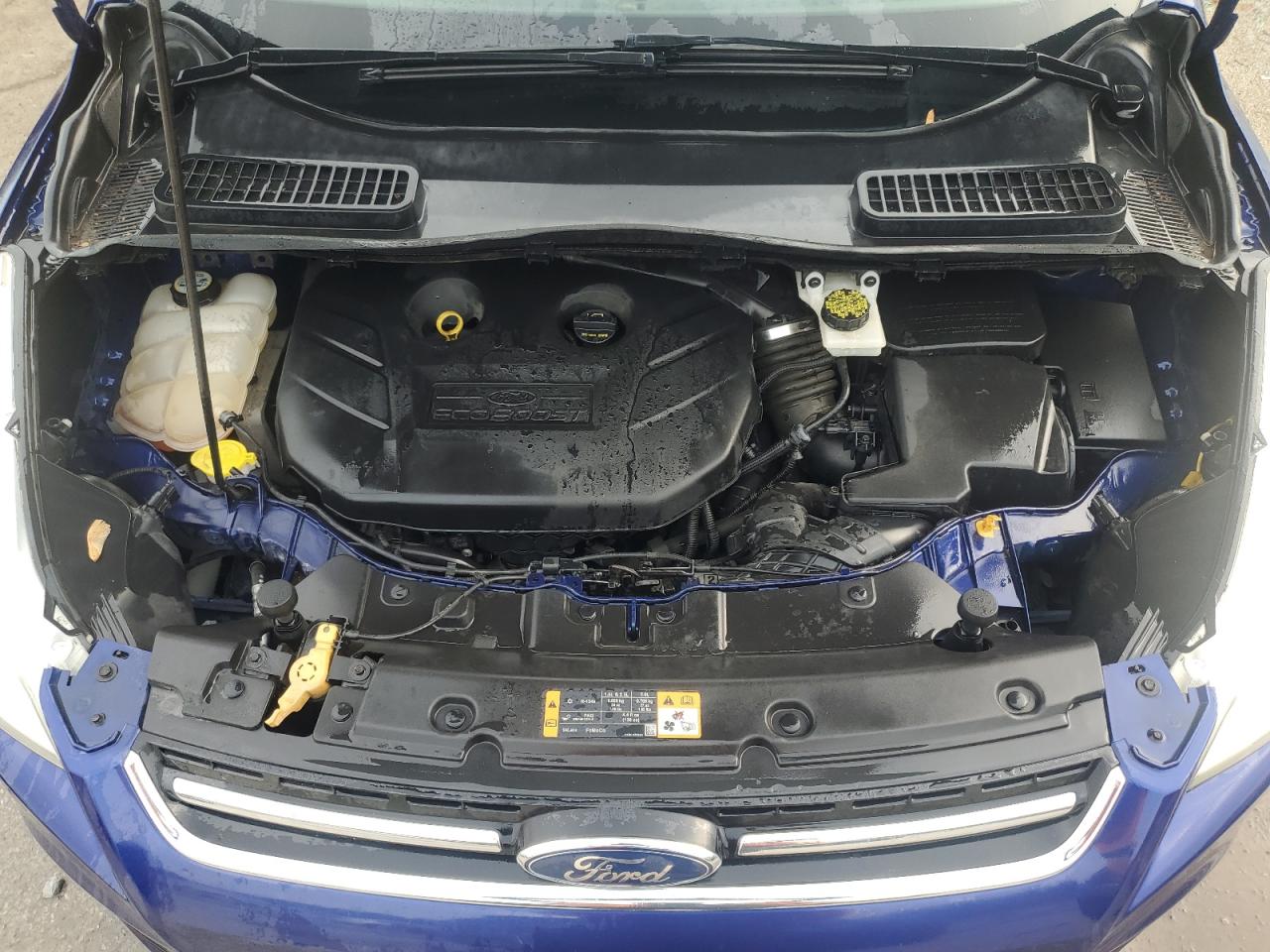 2013 Ford Escape Sel VIN: 1FMCU0H99DUA54413 Lot: 55253525