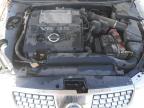 2006 Nissan Maxima Se for Sale in North Las Vegas, NV - All Over