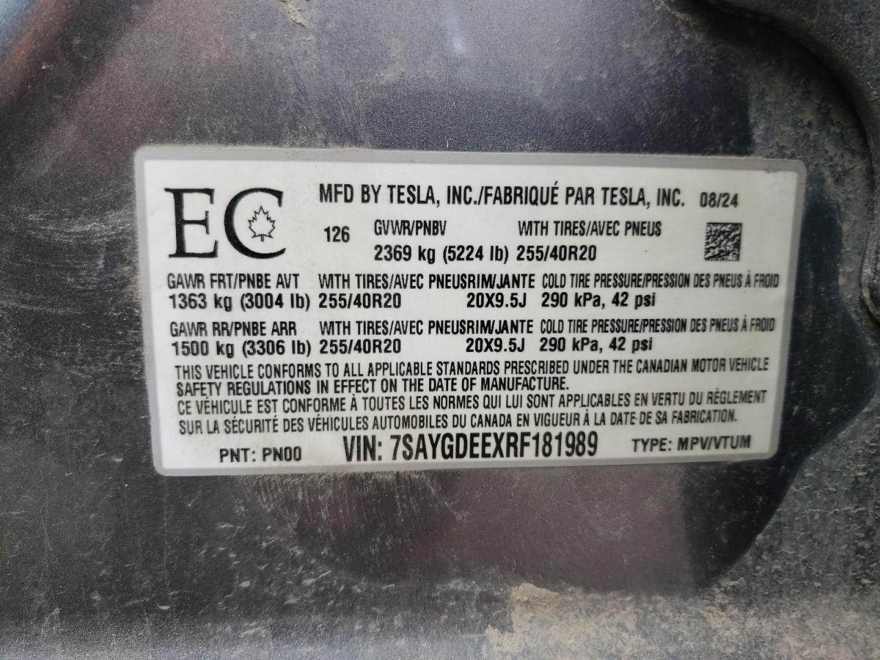 2024 Tesla Model Y VIN: 7SAYGDEEXRF181989 Lot: 56731455