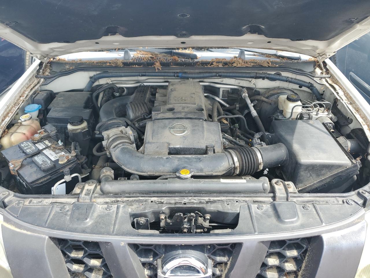 2005 Nissan Xterra Off Road VIN: 5N1AN08WX5C629376 Lot: 56478535