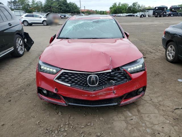  ACURA TLX 2019 Czerwony