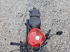 2022 ROYAL ENFIELD MOTORS METEOR 350    for sale at Copart TN - MEMPHIS
