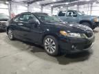 2013 Honda Accord Ex იყიდება Ham Lake-ში, MN - Side