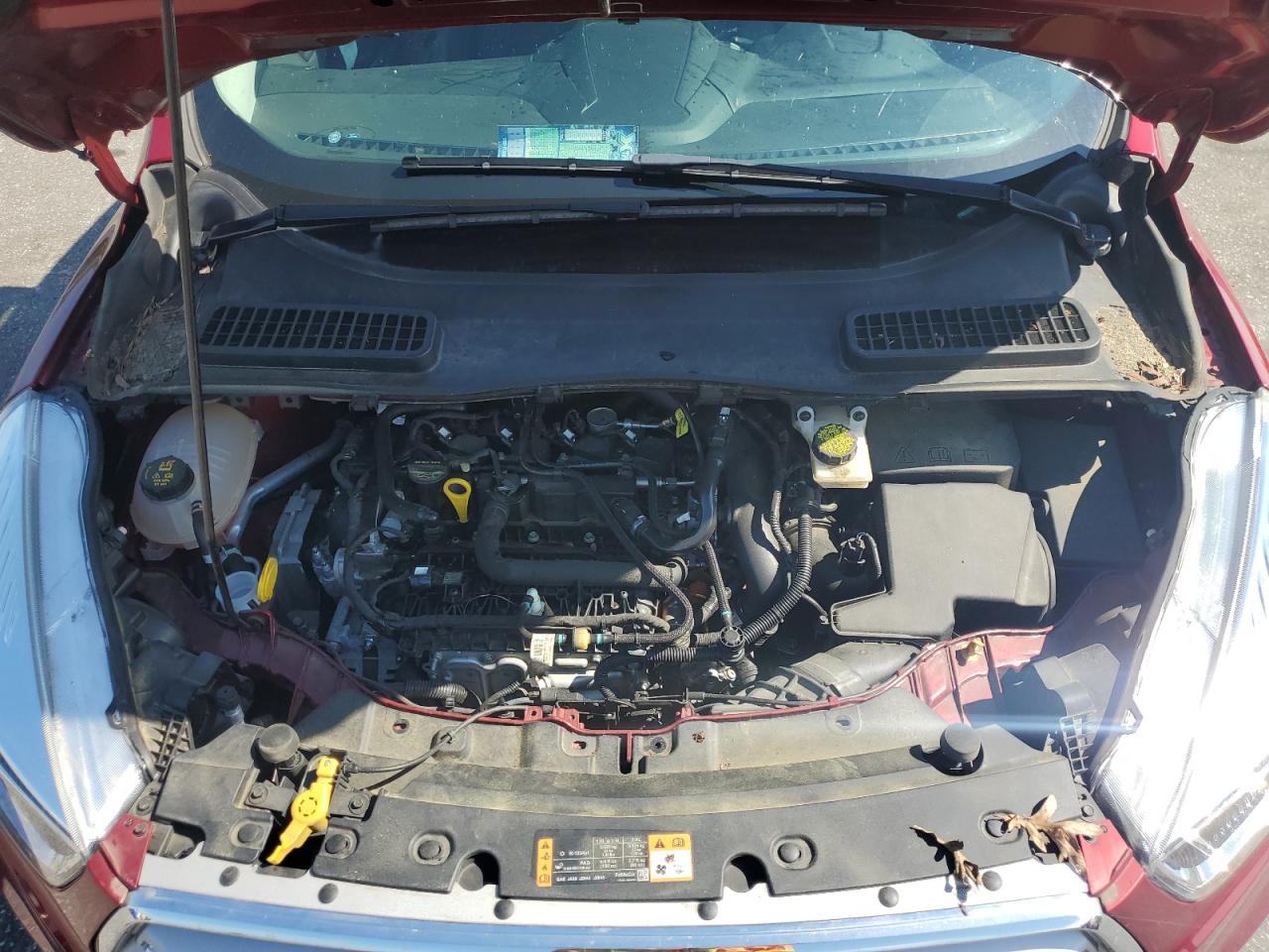 2019 Ford Escape Se VIN: 1FMCU0GD5KUC19442 Lot: 56477565