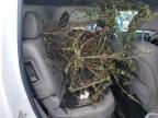 2012 Honda Pilot Exl   for Sale in Madisonville, TN - Front End