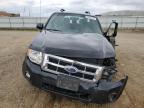2012 Ford Escape Xlt продається в Bismarck, ND - All Over