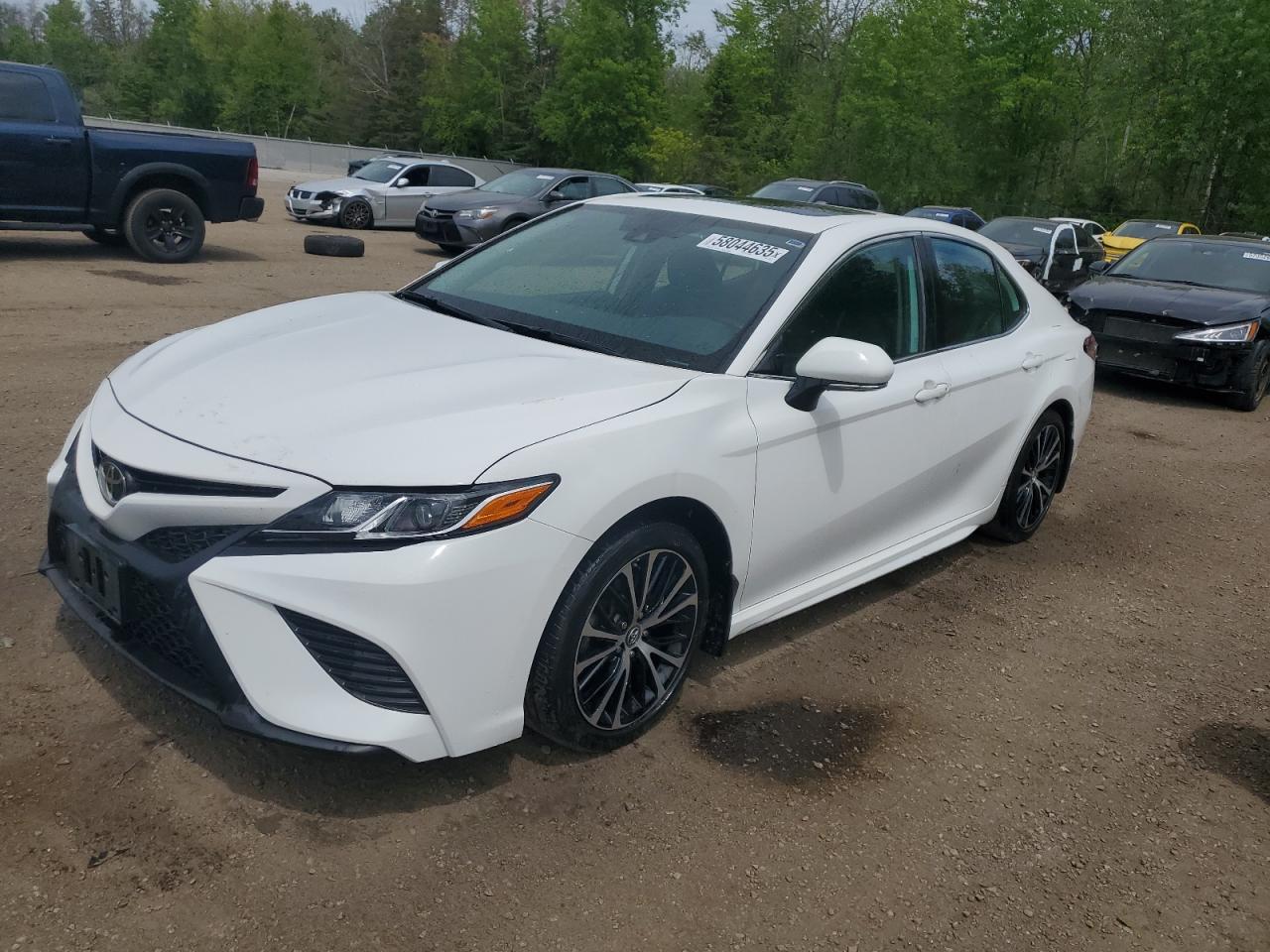 4T1B11HK6KU777808 TOYOTA CAMRY 2019