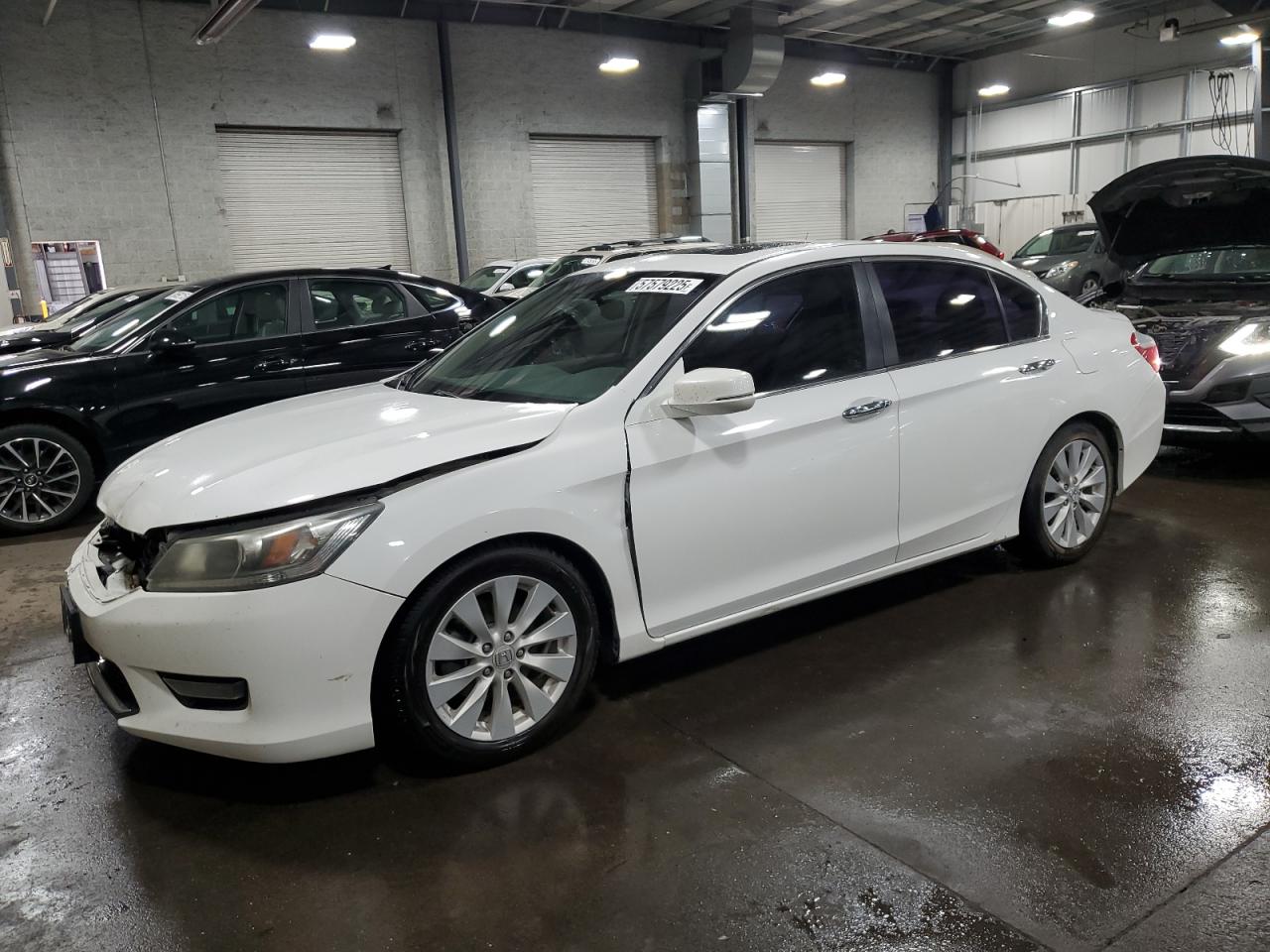 2015 Honda Accord Exl იყიდება Ham Lake-ში, MN - Front End