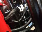 2024 CF MOTO PAPIO SS for sale at Copart MN - ST. CLOUD