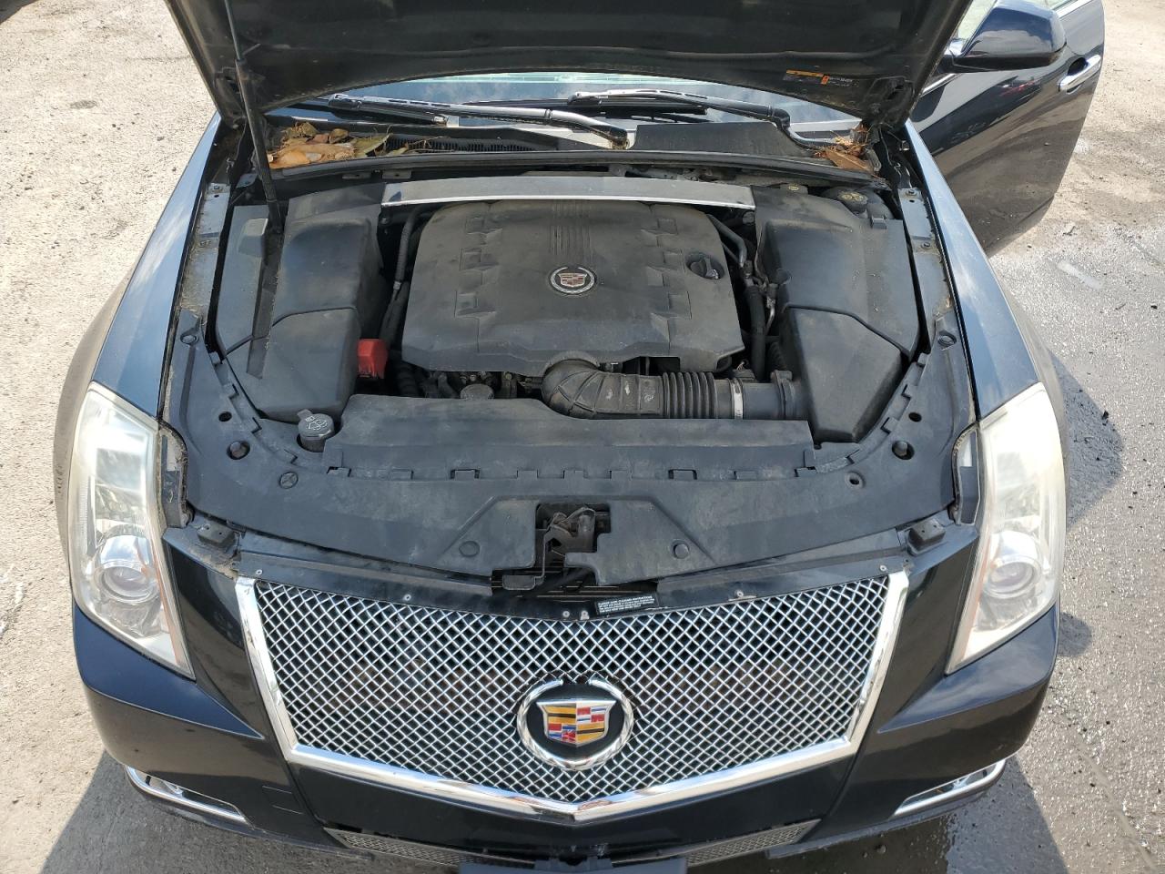 2011 Cadillac Cts Premium Collection VIN: 1G6DS5ED7B0121151 Lot: 55929745