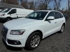 2015 Audi Q5 Premium Plus for Sale in North Billerica, MA - Normal Wear