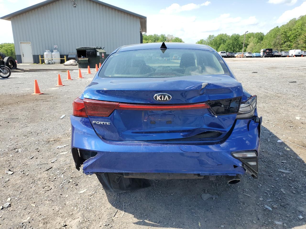 2019 Kia Forte Fe VIN: 3KPF24AD9KE124856 Lot: 55607695