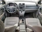 2008 Honda Cr-V Lx zu verkaufen in Andrews, TX - Hail